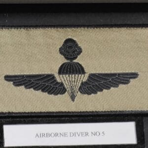 AIRBORNE DIVER No5