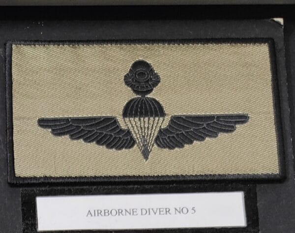 AIRBORNE DIVER No5