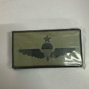 BINTANG REMAJA