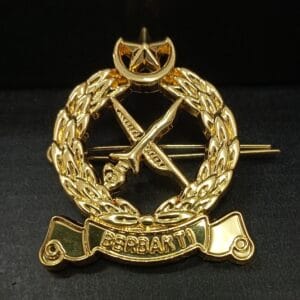 CAP BADGE KPA LLP