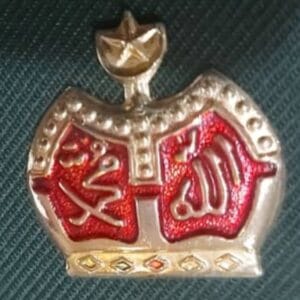 CROWN MEJ