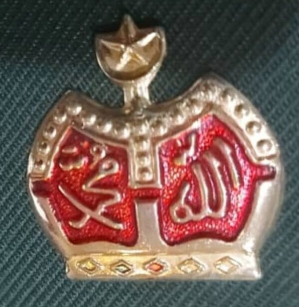 CROWN MEJ