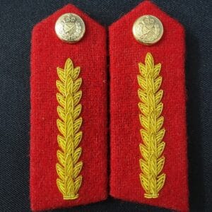 GORGET TD (MEDIUM)