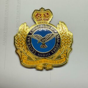 PLATE LOGO TUDM