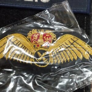WING PILOT NO 1