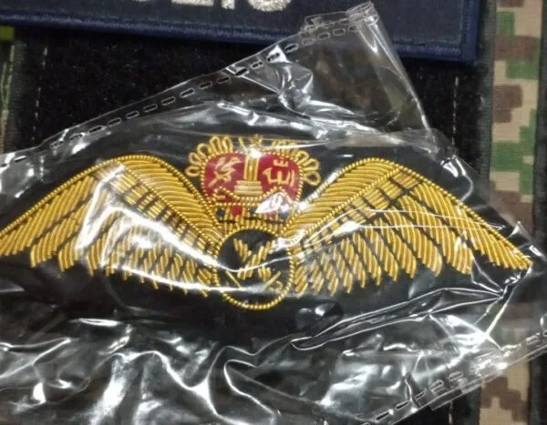 WING PILOT NO 1